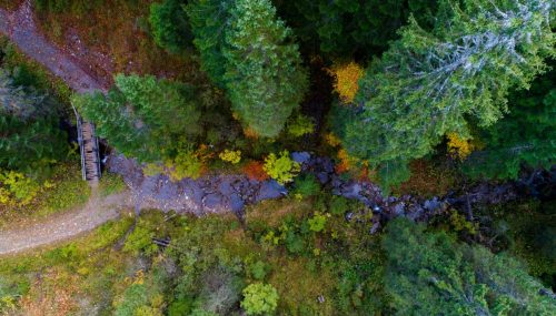 Observatoire territorial des forêts de Haute-Savoie